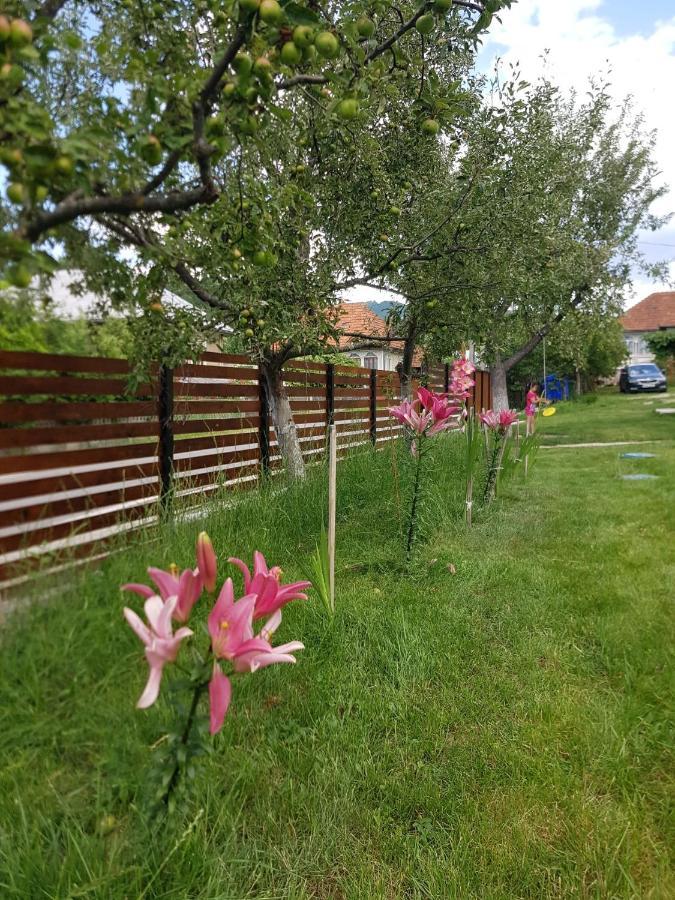 Отель Viata La Tara Cerna Cerna  Экстерьер фото